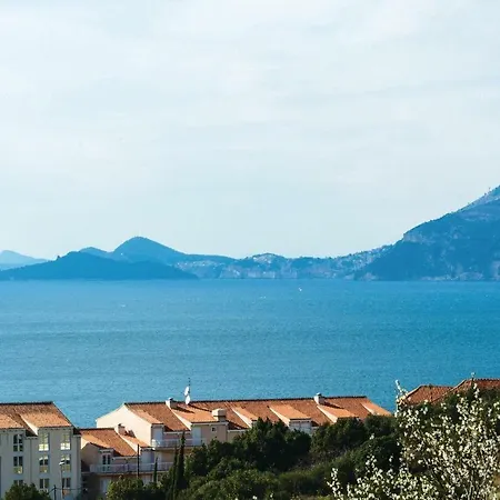 Nice In With Wifi Apartment *
